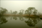 dailyPhoto39